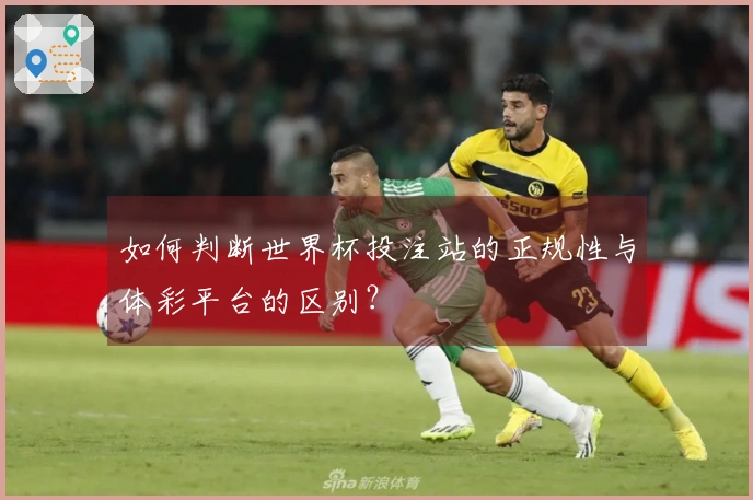 如何判断世界杯投注站的正规性与体彩平台的区别？