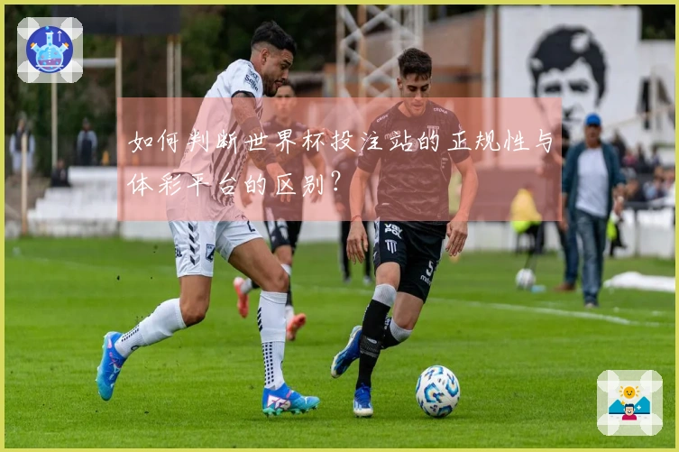 如何判断世界杯投注站的正规性与体彩平台的区别？