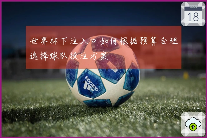 世界杯下注入口如何根据预算合理选择球队投注方案
