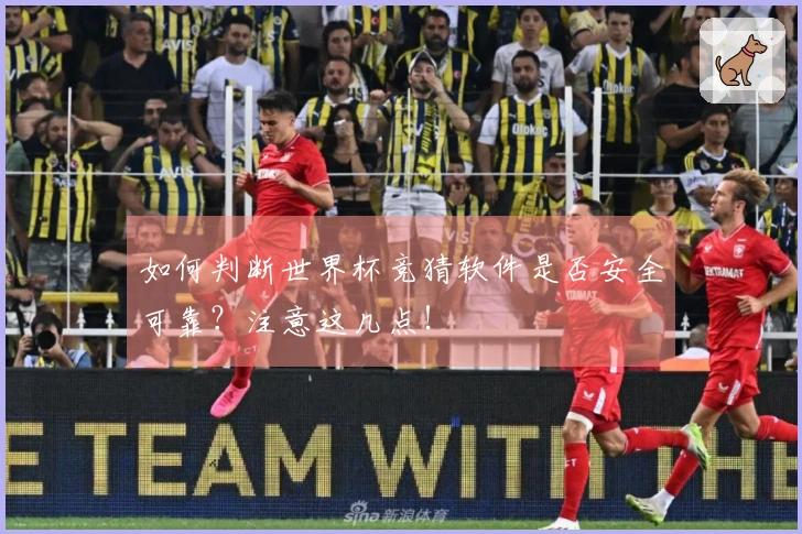 如何判断世界杯竞猜软件是否安全可靠？注意这几点！