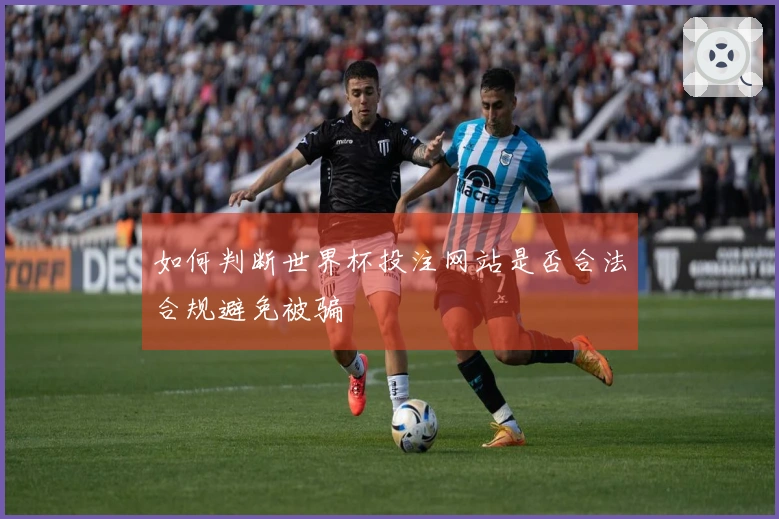 如何判断世界杯投注网站是否合法合规避免被骗