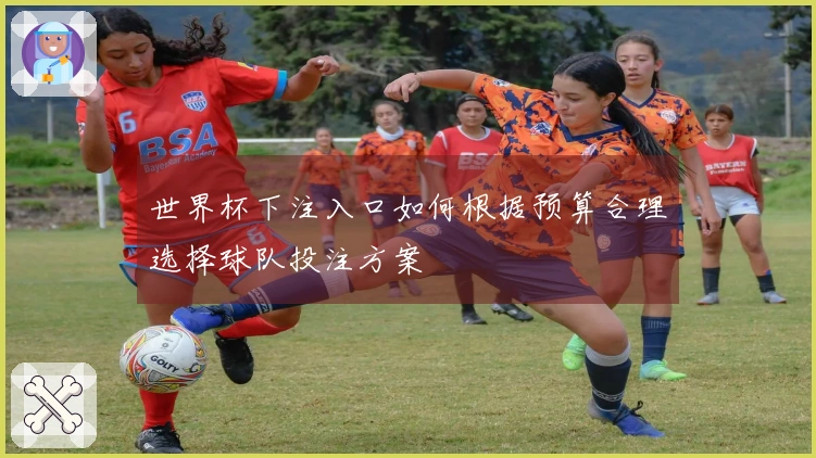 世界杯下注入口如何根据预算合理选择球队投注方案
