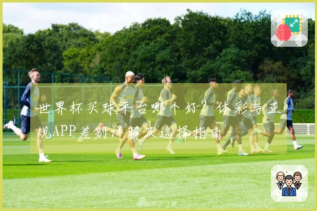 世界杯买球平台哪个好？体彩与正规APP差别详解及选择指南