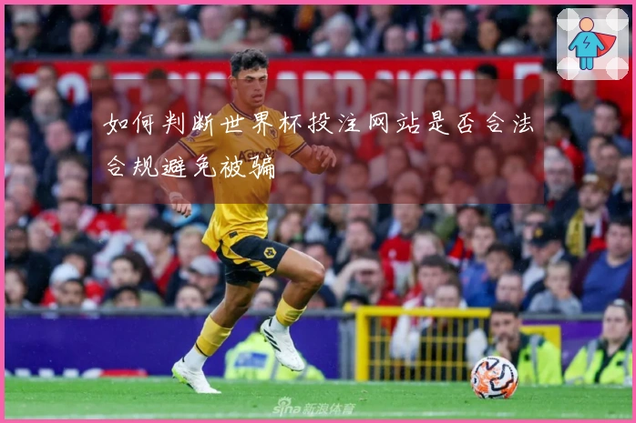 如何判断世界杯投注网站是否合法合规避免被骗