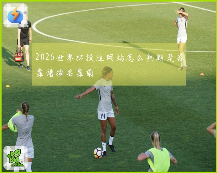 2026世界杯投注网站怎么判断是否靠谱排名靠前